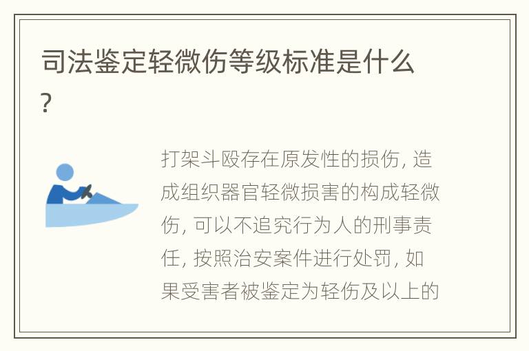 司法鉴定轻微伤等级标准是什么？