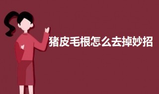 猪皮毛根怎么去掉妙招 猪皮毛根的去除方法