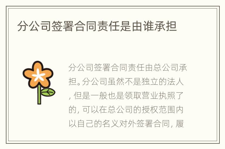 分公司签署合同责任是由谁承担