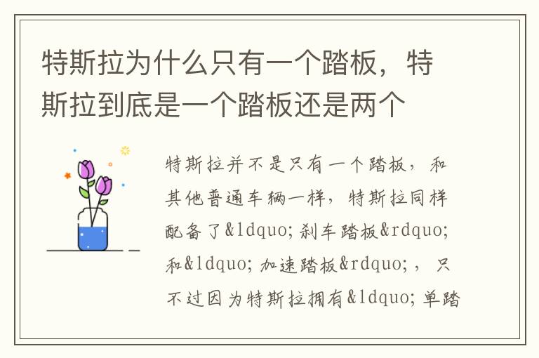 特斯拉为什么只有一个踏板，特斯拉到底是一个踏板还是两个