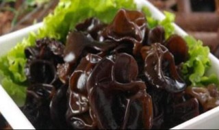 泡好的黑木隔夜可吃吗 泡好的黑木隔夜能不能吃