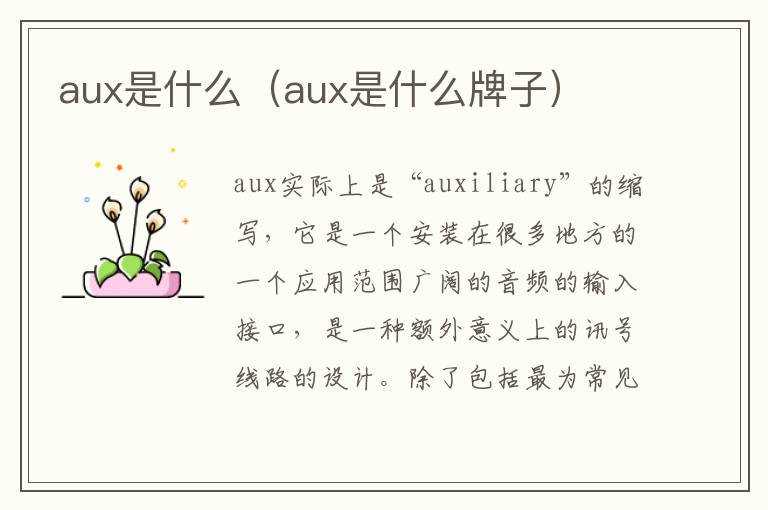 aux是什么（aux是什么牌子）