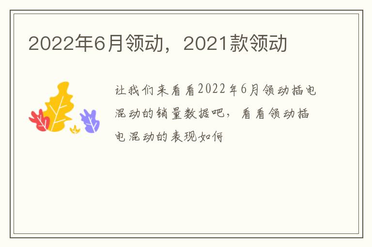 2022年6月领动，2021款领动