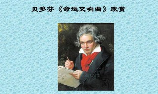 贝多芬命运交响曲 c小调第五交响曲的简介