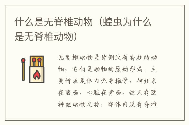 什么是无脊椎动物（蝗虫为什么是无脊椎动物）