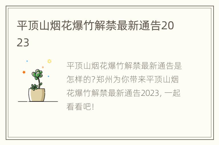平顶山烟花爆竹解禁最新通告2023