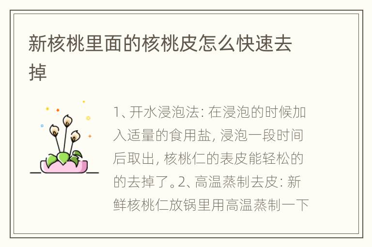 新核桃里面的核桃皮怎么快速去掉