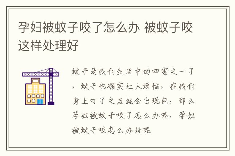 孕妇被蚊子咬了怎么办 被蚊子咬这样处理好