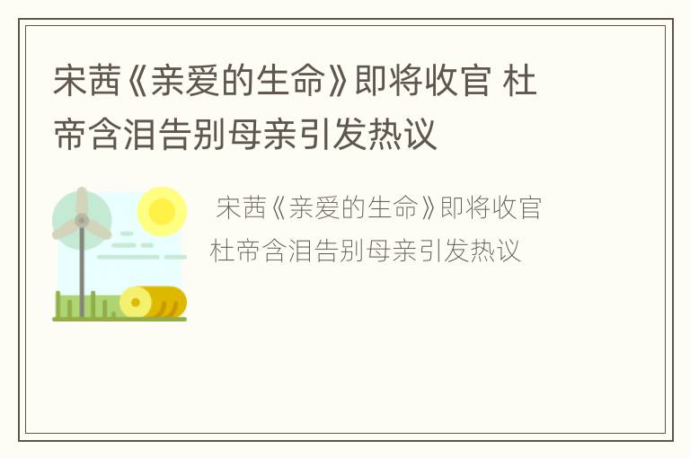 宋茜《亲爱的生命》即将收官 杜帝含泪告别母亲引发热议