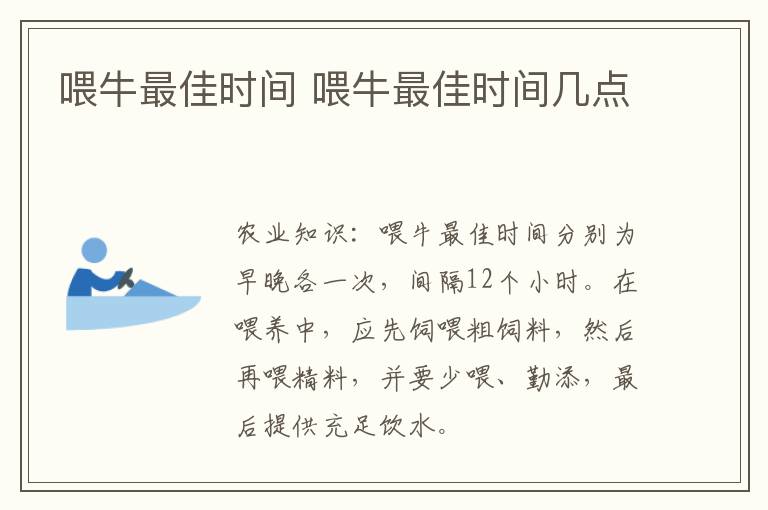 喂牛最佳时间 喂牛最佳时间几点
