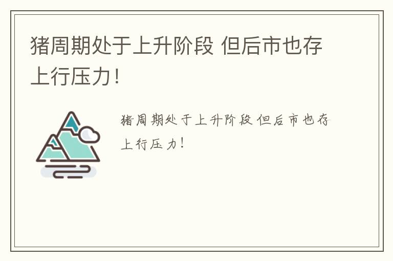 猪周期处于上升阶段 但后市也存上行压力！