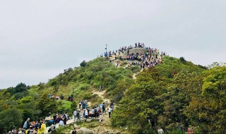深圳梧桐山海拔多少米 这里有什么特色